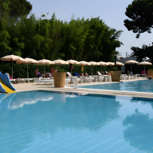 piscina upscaler